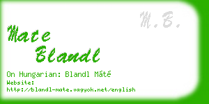 mate blandl business card
