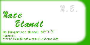 mate blandl business card